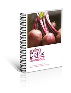 3-D Manual Cover CLEANSE v1