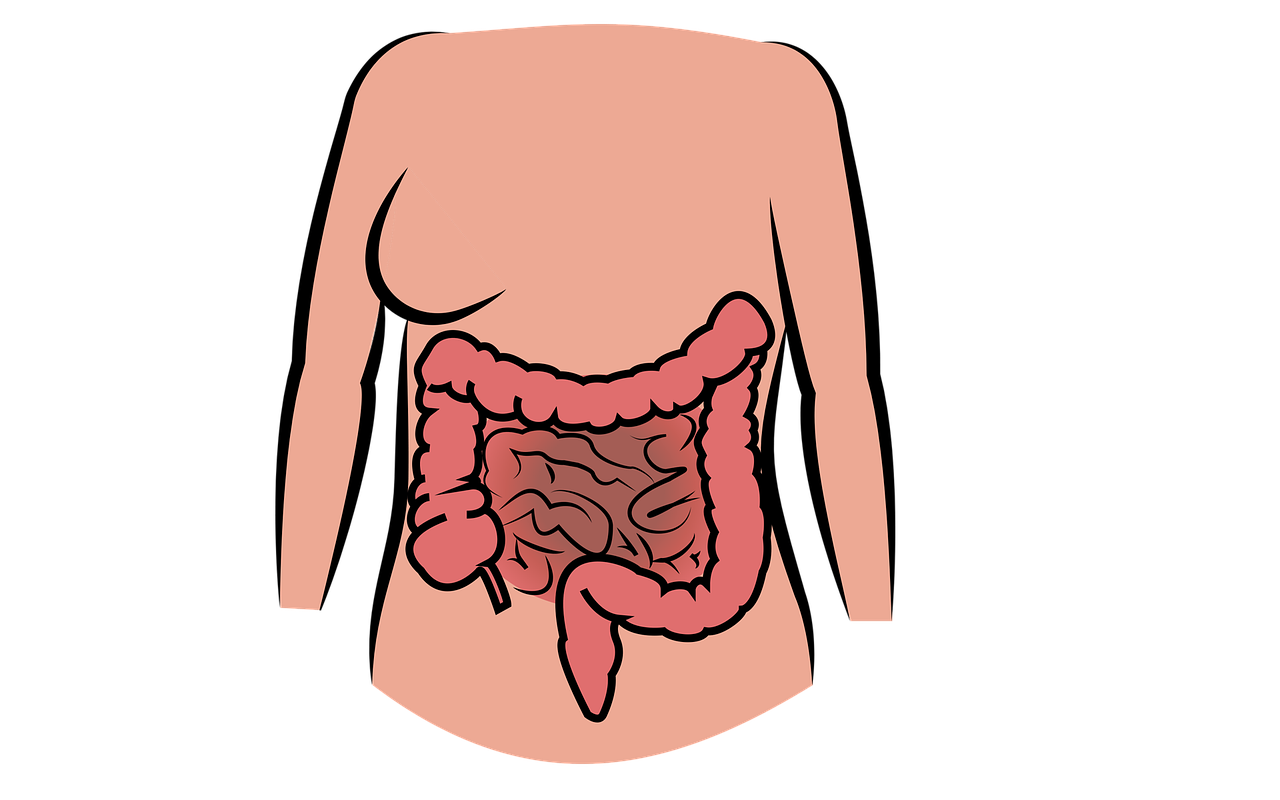 Do I have leaky gut?